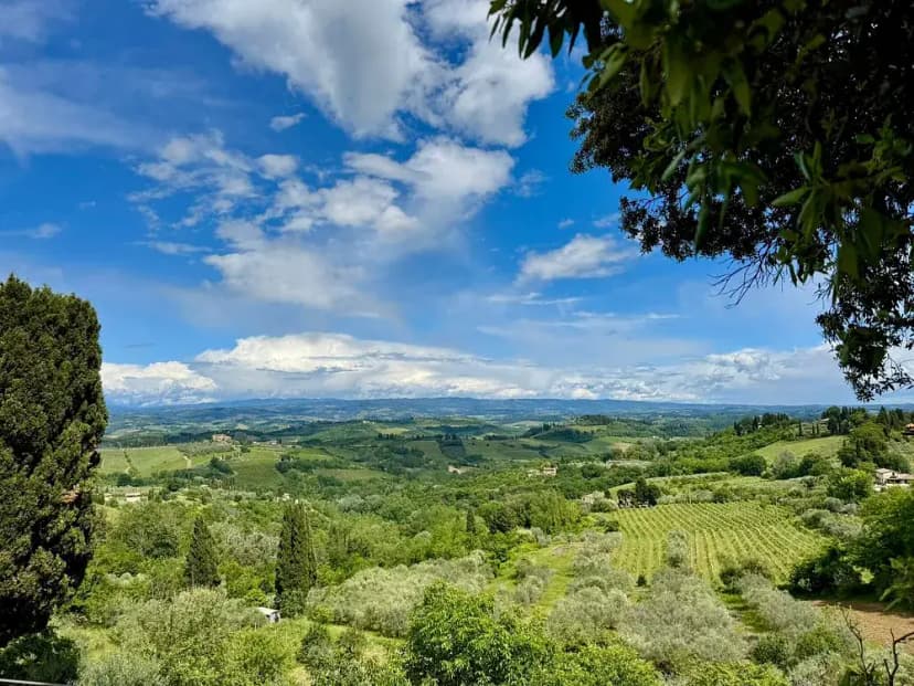Rolling Tuscan countryside with vineyards, olive trees and cypresses
