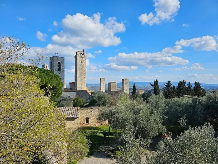 The towers of San Gimignano rising above olive groves