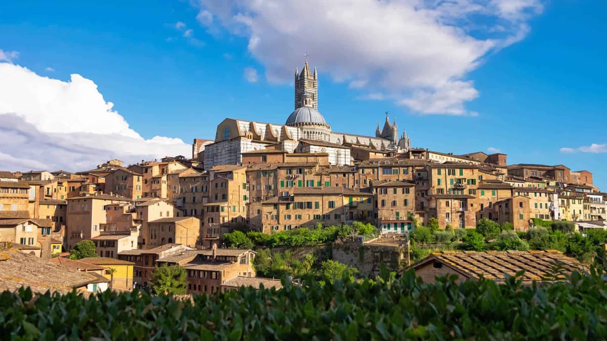Private Tour to Siena, San Gimignano, Chianti and Pisa