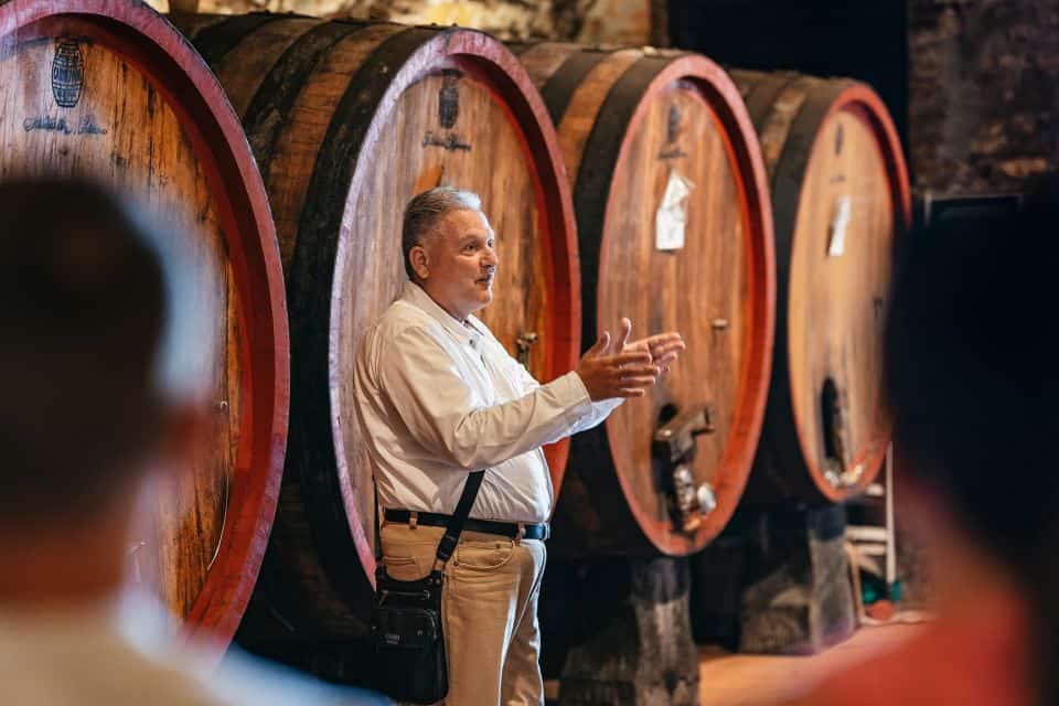 Private tour Pompeii and Vesuvius Winery from Naples Port