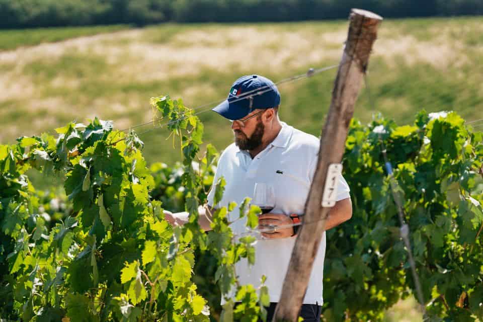 Private tour Pompeii and Vesuvius Winery from Naples Port
