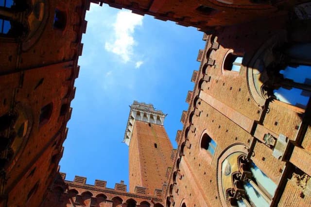 View over the terracotta rooftops of Siena from the Torre del Mangia