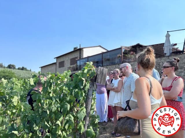 Transfer Florence to Rome via San Gimignano