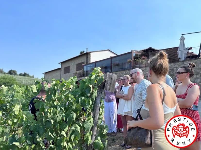 Transfer Florence to Rome via San Gimignano