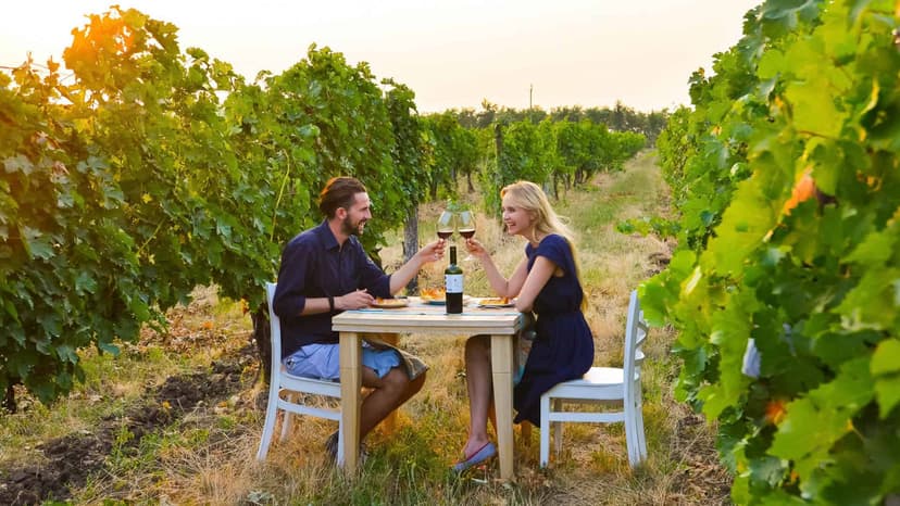 Transfer Florence to Rome via Chianti wine country