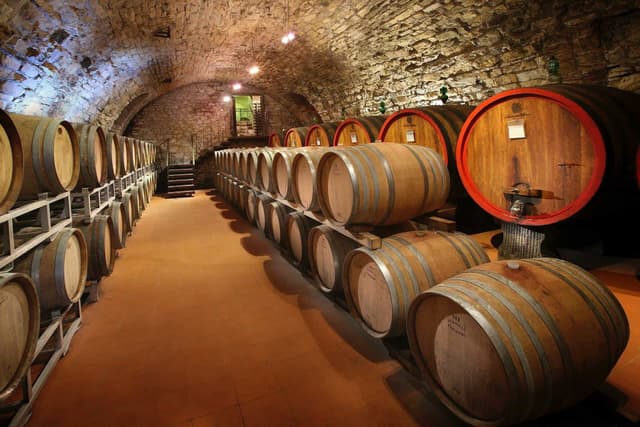 Wine Experience in Tuscany