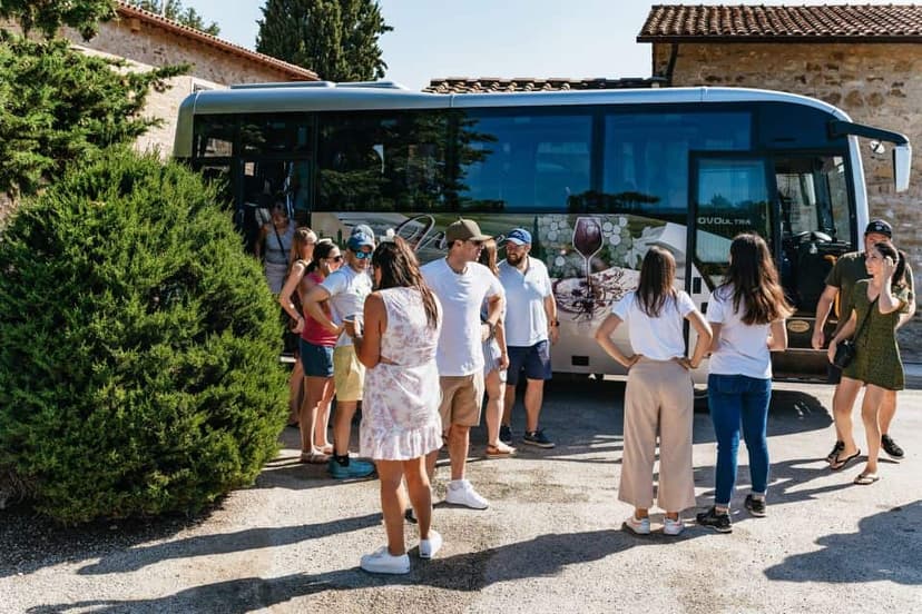 Wine Experience in Tuscany