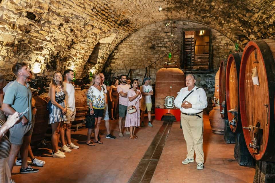 Wine Experience in Tuscany