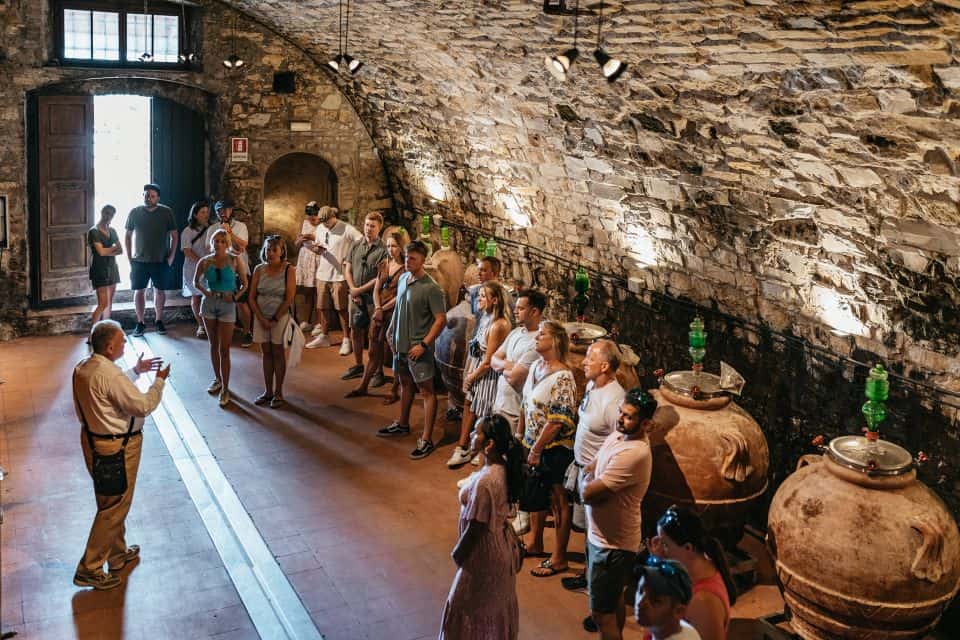 Wine Experience in Tuscany