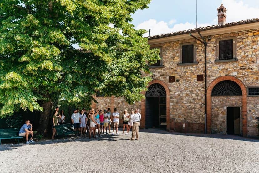 Wine Experience in Tuscany
