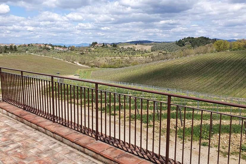Small group among Tuscan wineries, their olive oil and a proper Tuscan lunch