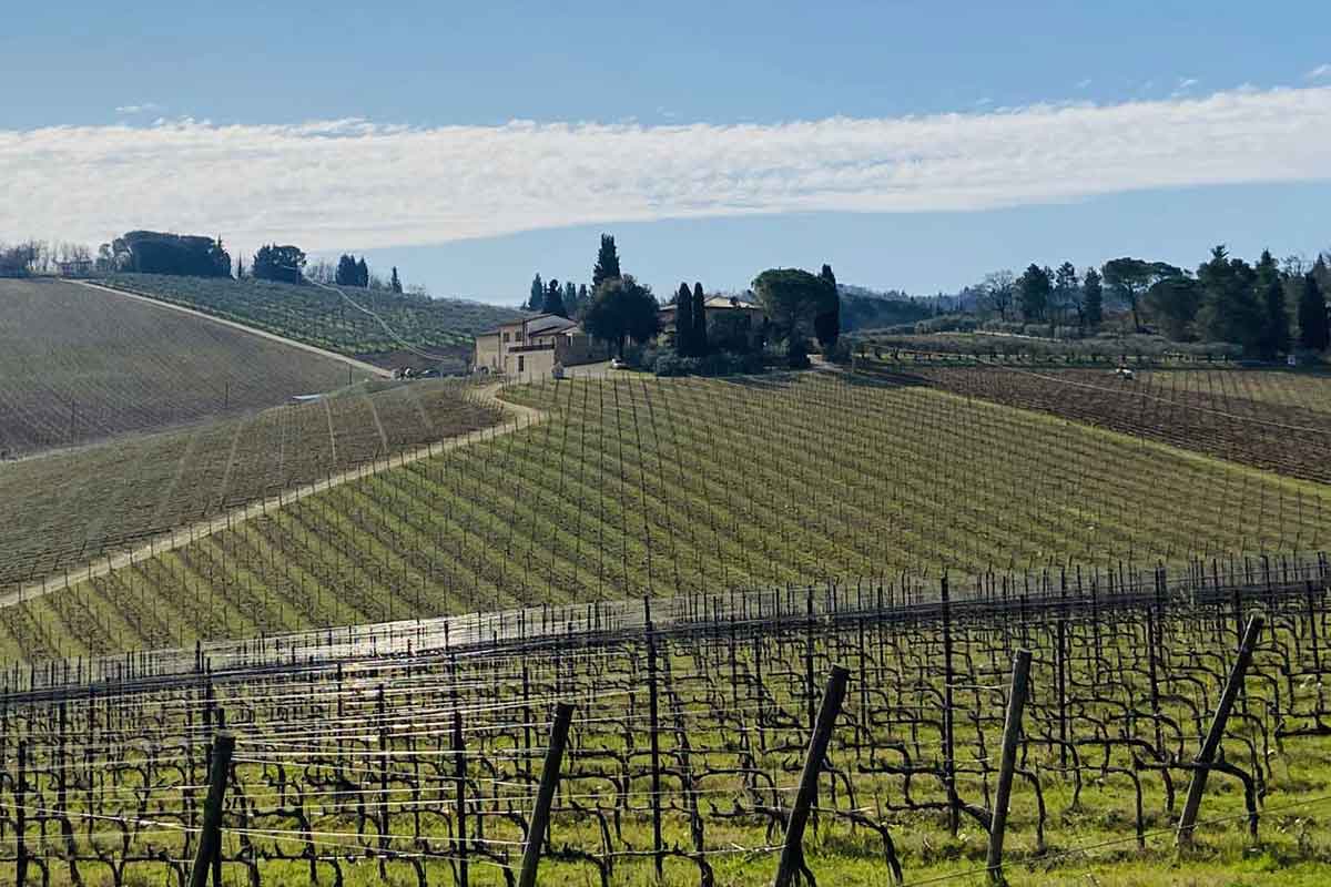 Transfer Florence to Rome via Chianti wine country