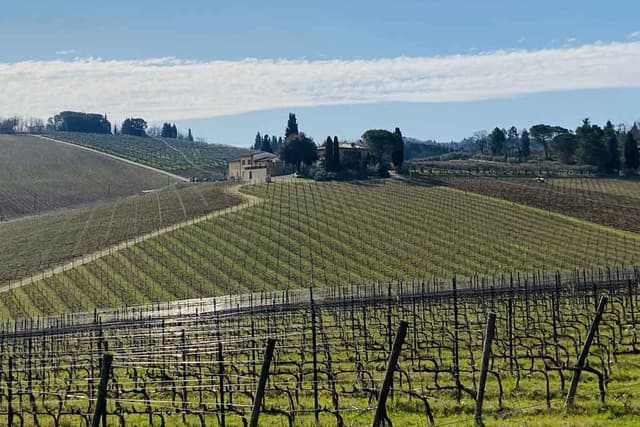 Transfer Florence to Rome via Chianti wine country