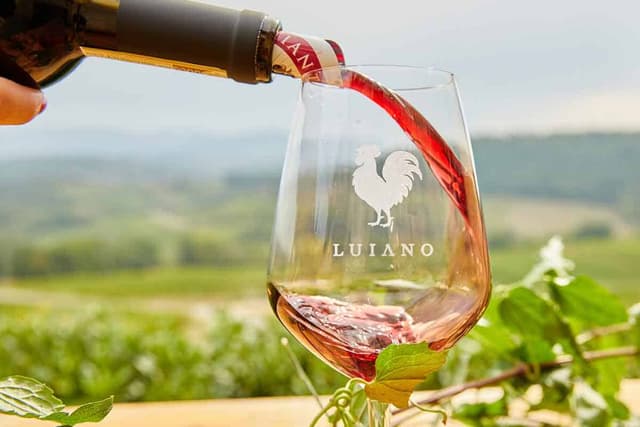 Private Tour to Chianti Wineries from La Spezia Port