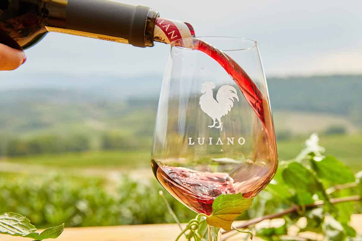 Private Tour to Chianti Wineries from La Spezia Port