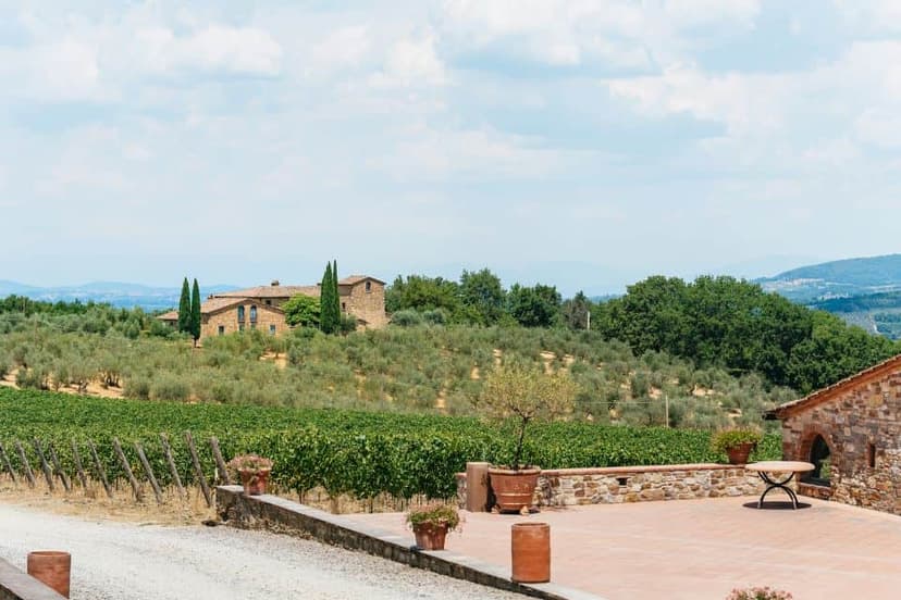 Private tour to Chianti Wineries