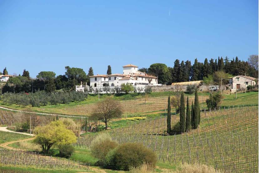 Small group among Tuscan wineries, their olive oil and a proper Tuscan lunch