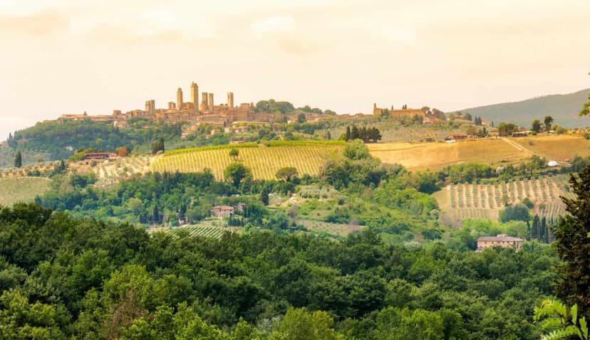 Private half day tour to San Gimignano from Florence