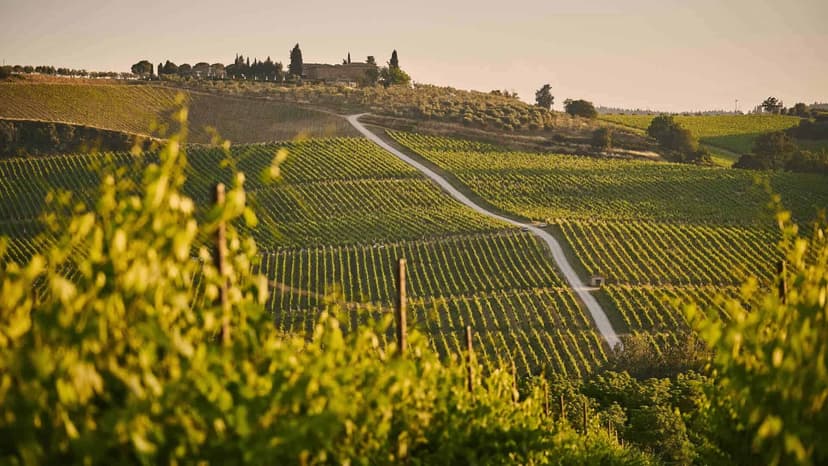 Private Montalcino & Brunello Wine tour