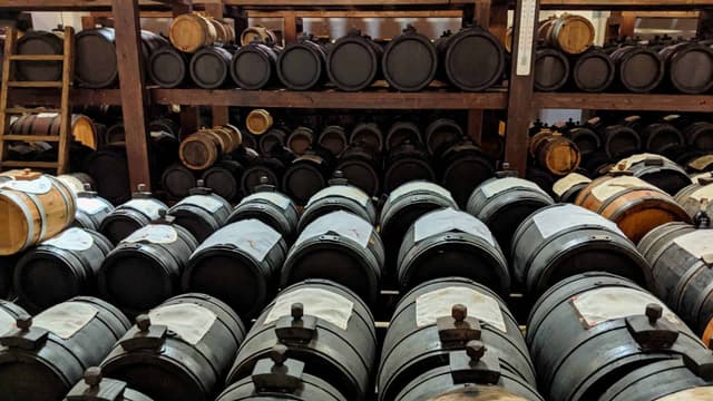 Transfer Florence to Milan via Modena Balsamic Factory