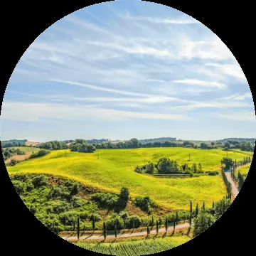 A private tour group in a Tuscan hill town